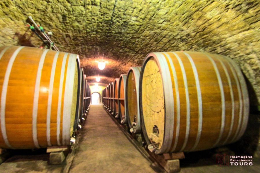 Wuerzburg wine tour with Reimagine Tours®  – guided vineyard and city experience Reimagine Tours®  Wuerzburg wine tasting and city tour Wuerzburg wine tour in English with local guide – Reimagine Tours® 