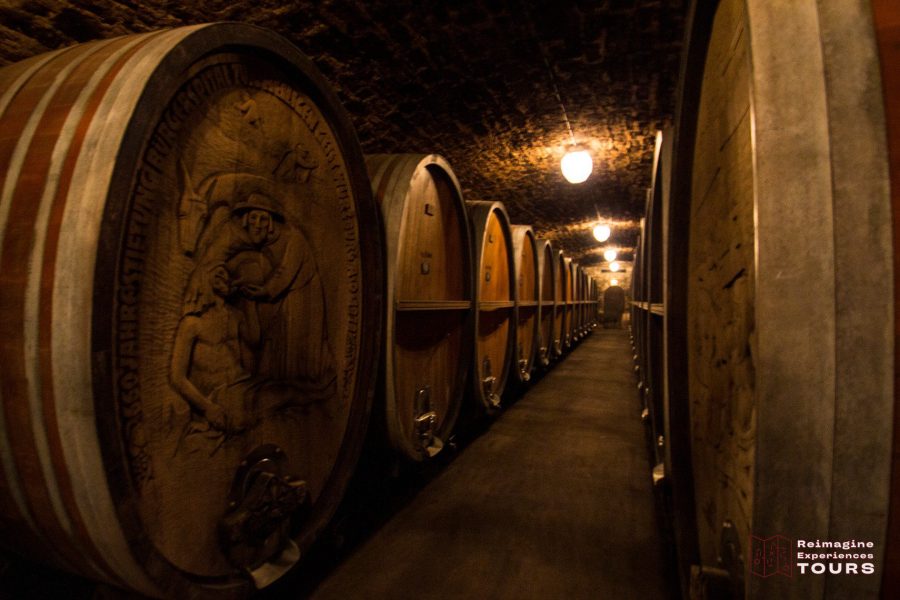 Wuerzburg wine tour with Reimagine Tours®  – guided vineyard and city experience Reimagine Tours®  Wuerzburg wine tasting and city tour Wuerzburg wine tour in English with local guide – Reimagine Tours® 